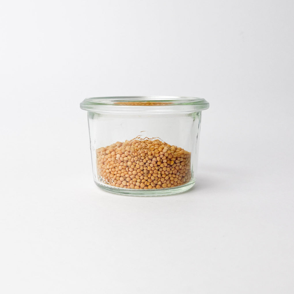 Mustard Seeds - Organic