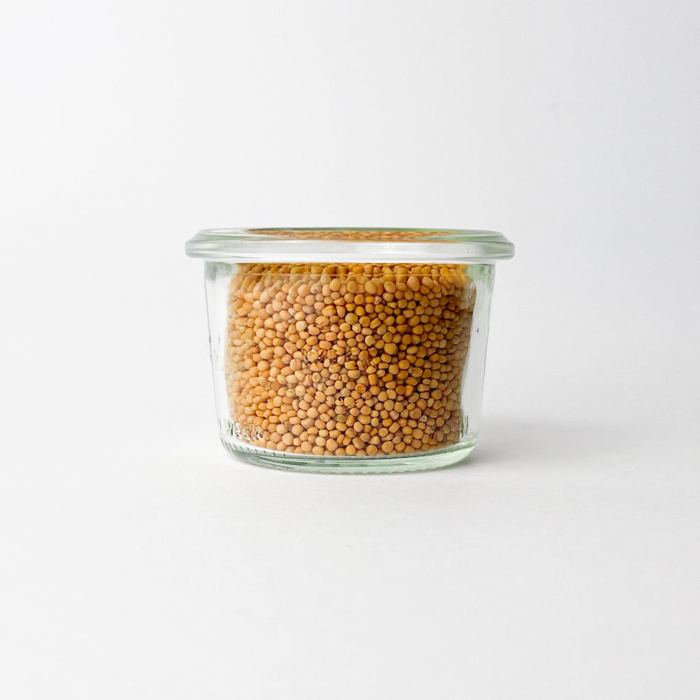 Mustard Seeds - Organic