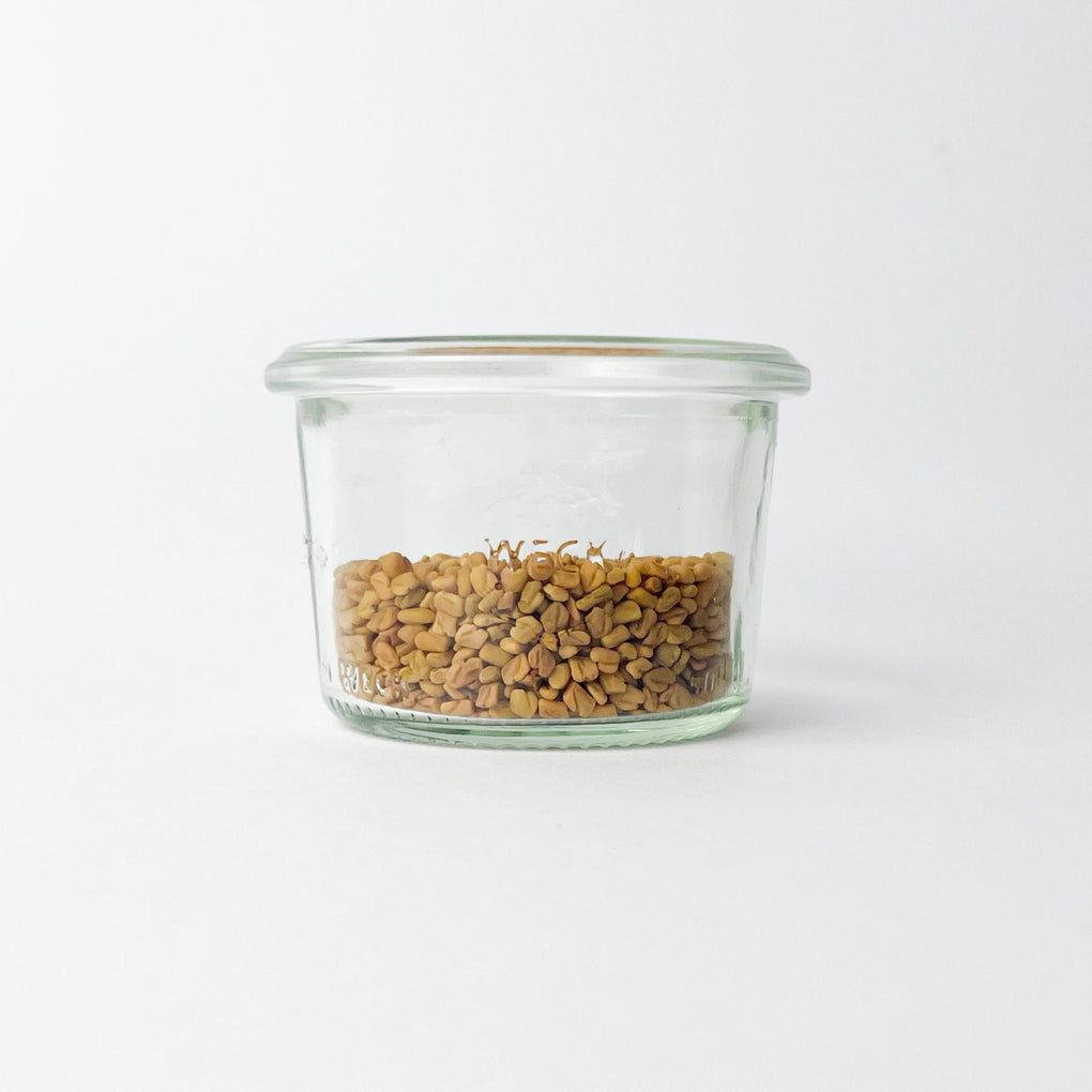 Fenugreek Seed