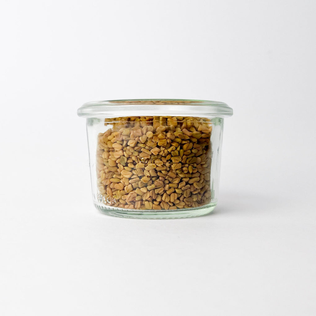 Fenugreek Seed