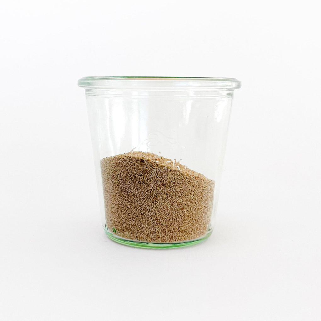 Whole White Teff