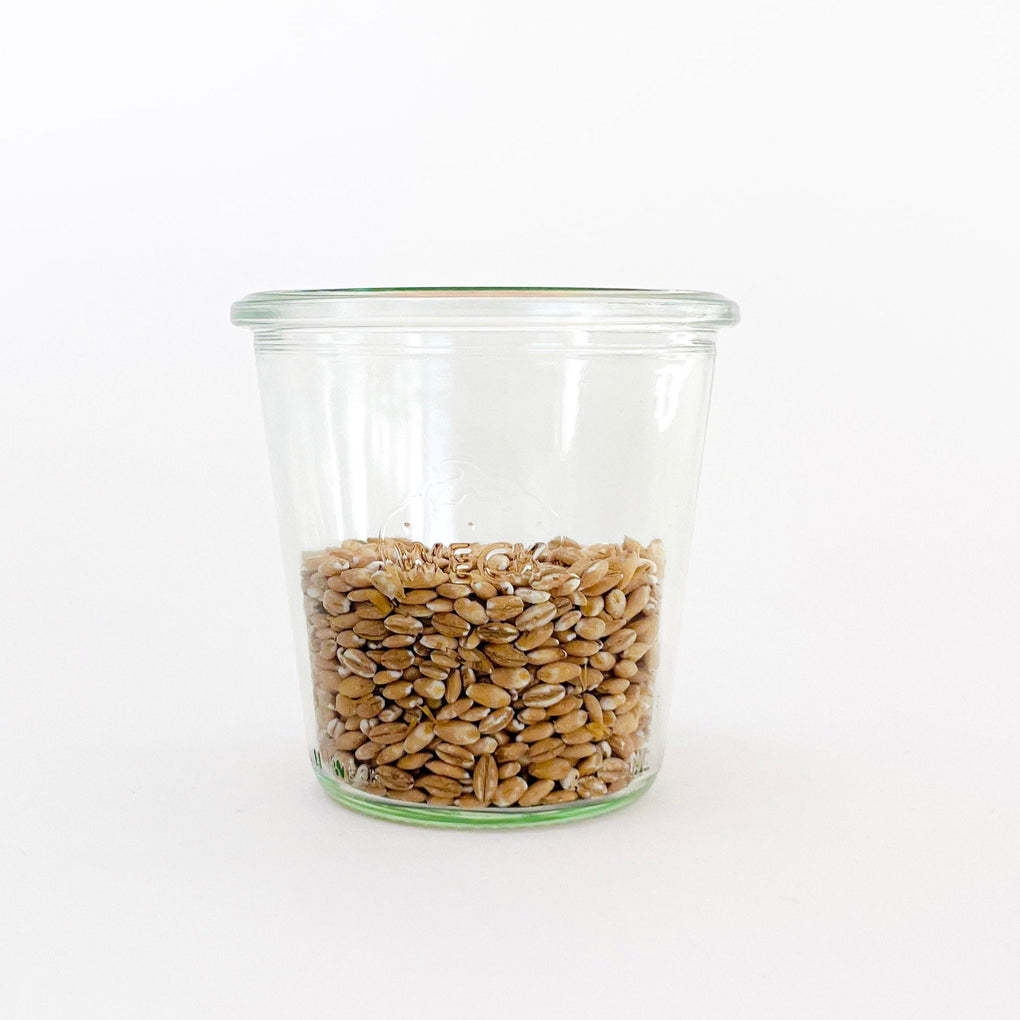 Hulled Pearl Barley - Organic