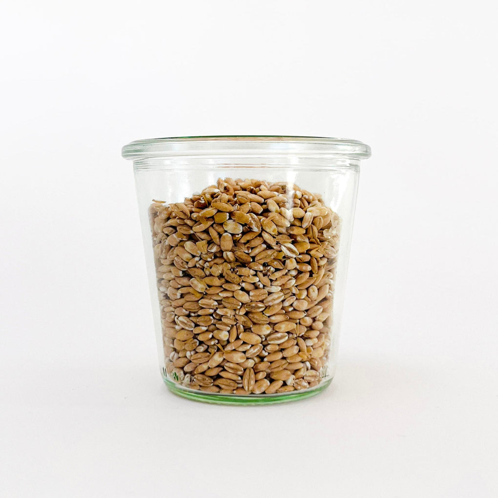 Hulled Pearl Barley - Organic