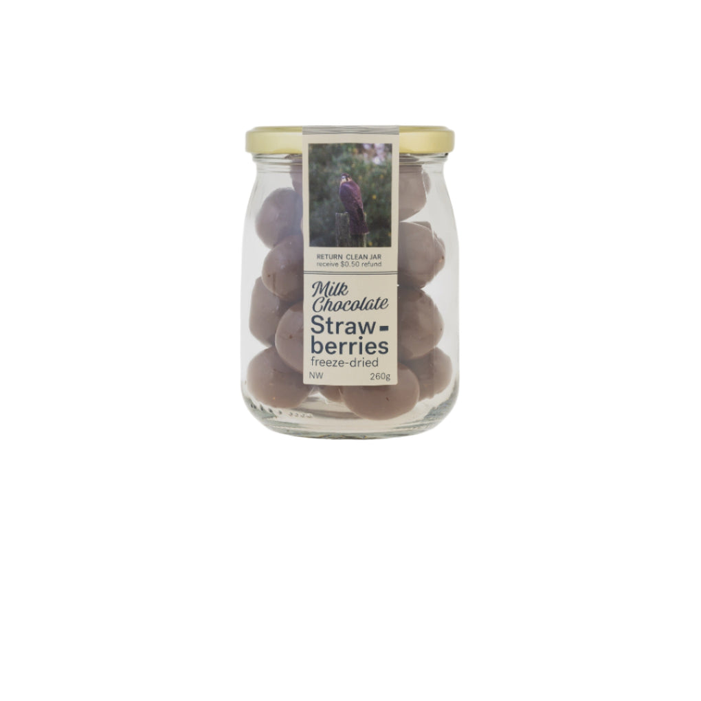 Nature Chocolate Jar - Milk Chocolate Freeze Dried Strawberry - Large