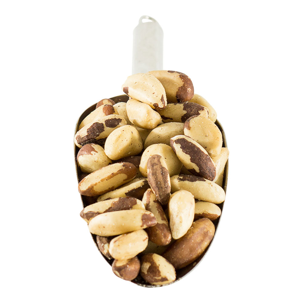 Organic Brazil Nuts - The Source Bulk Foods Shop