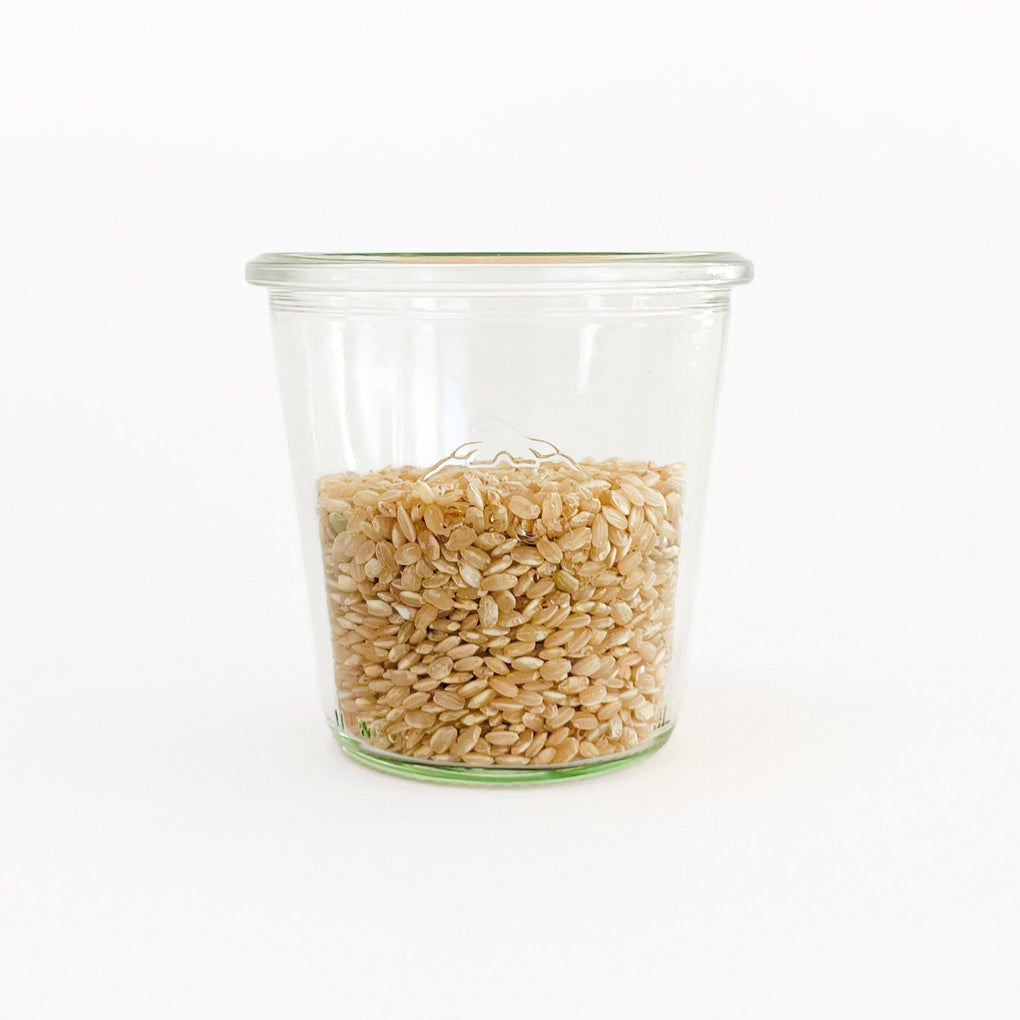 Brown Sushi Rice - Organic