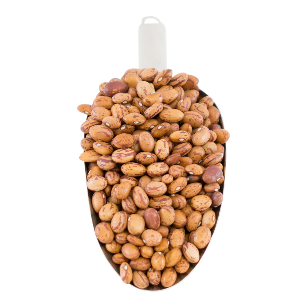 Borlotti Beans - Organic