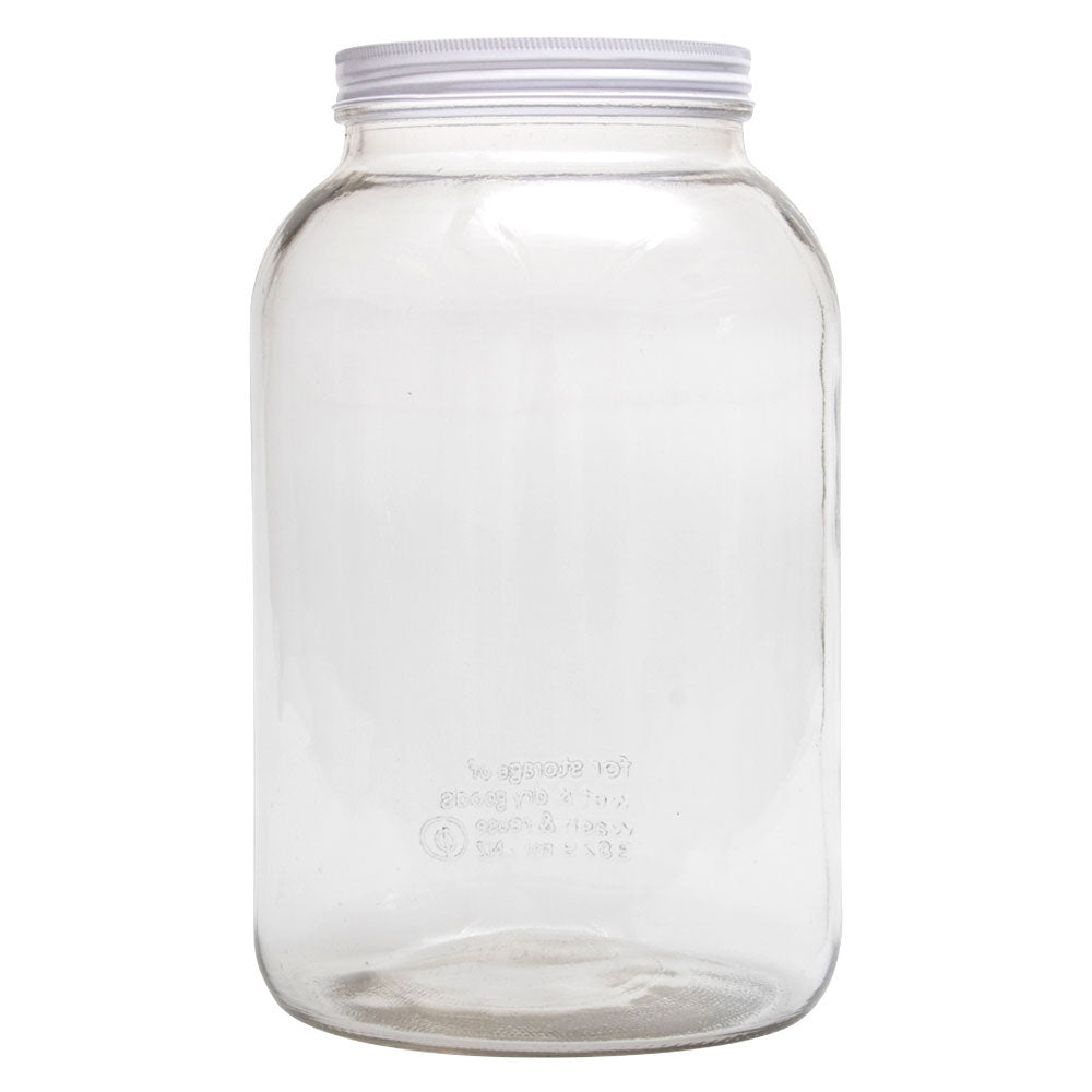 Big Boy Jar - 3.8L