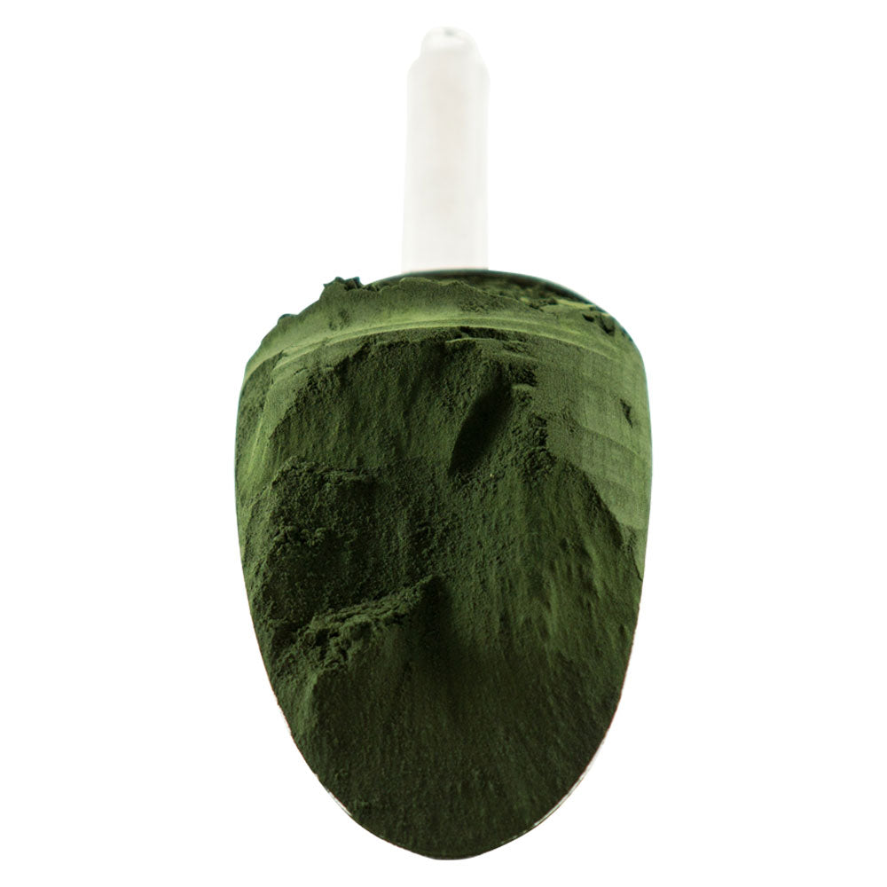 Chlorella - Organic