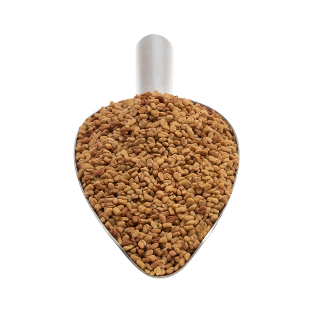 Fenugreek Seed