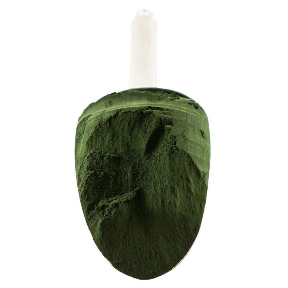 Spirulina Powder - Organic